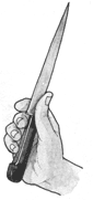 Hold the knife almost like a fencing foil and control it with your thumb and index finger on either side of the blade. Its elegant proportions and balance make even a large knife responsive and quick.